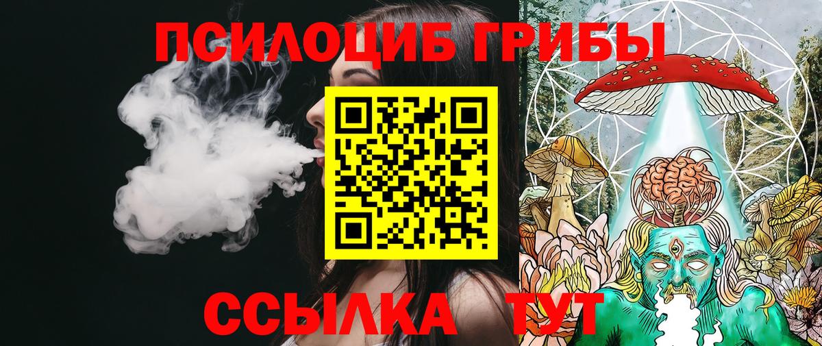 Галлюциногенные грибы Psilocybine cubensis Лениногорск